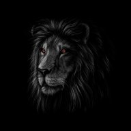 kingvestor