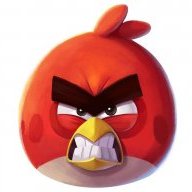 Angry red bird