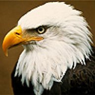 Swag Eagle