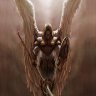 archangels