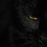 mattepanther