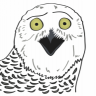 NotATroll