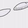 Aifonyuser