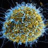 AirBorneVirus