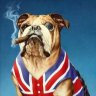 BullDogBeast