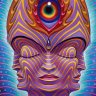 thick_mcrunfast