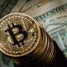 cryptobro