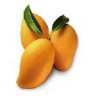 MangoZoo
