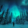 wintersky