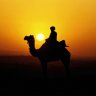 CamelMilk