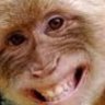 Unwashed Monkey
