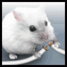 DCME