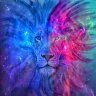 KINGSTARS