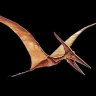 ThePterodactyl