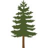 PineTree