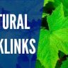 qualitybacklink