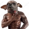 dogseo