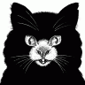 BlackRat19
