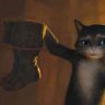 Matou Hardi