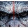BigApe