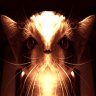 jda5000