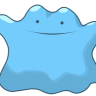 LIL DITTO