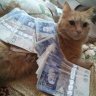 baig