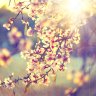 Abdul Motin Bhuyan