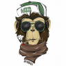Social Chimp