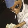 KermitDaThug