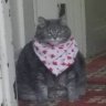 AidanMourn