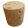 Corkbackpack