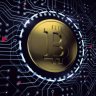 lucascrypto