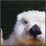kimberlyn
