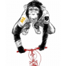 MonkeyLab