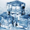 IceWallowCome