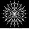 docspider