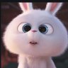 Littlebunny