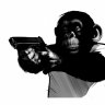 MoneyMonkeys