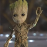 ImGroot