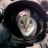 3210blastoff