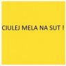 Melanasut
