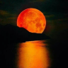darkmoon007