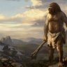 hominido