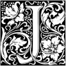 Jaxfaroe
