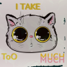 networkcat