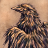 SirCorvus