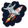 moon_coin