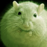 greenmouse1111