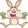 BunnyCash
